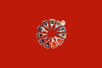 阿里地区回收红酒